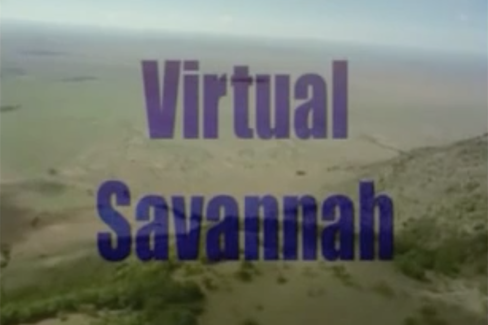 Virtual Savannah